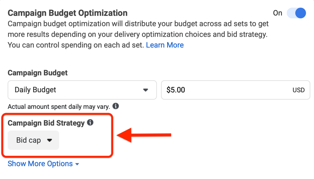 A screenshot of Facebook ad campaign's budget optimization section. 